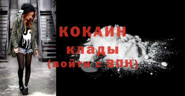 кокс Дмитриев