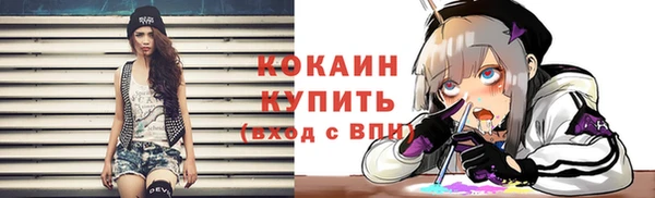кокс Дмитриев