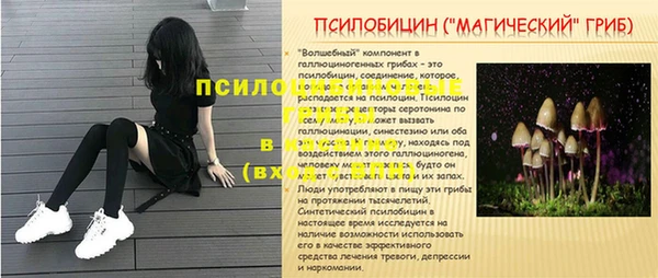 прущая мука Елабуга