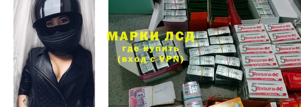 кокс Дмитриев
